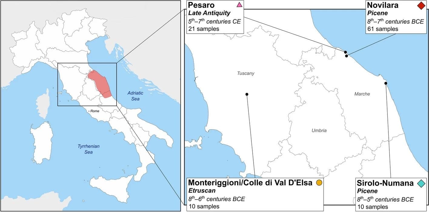 The Genetic Ancestry of the Picenes: A New Genomic Portrait of an Ancient People